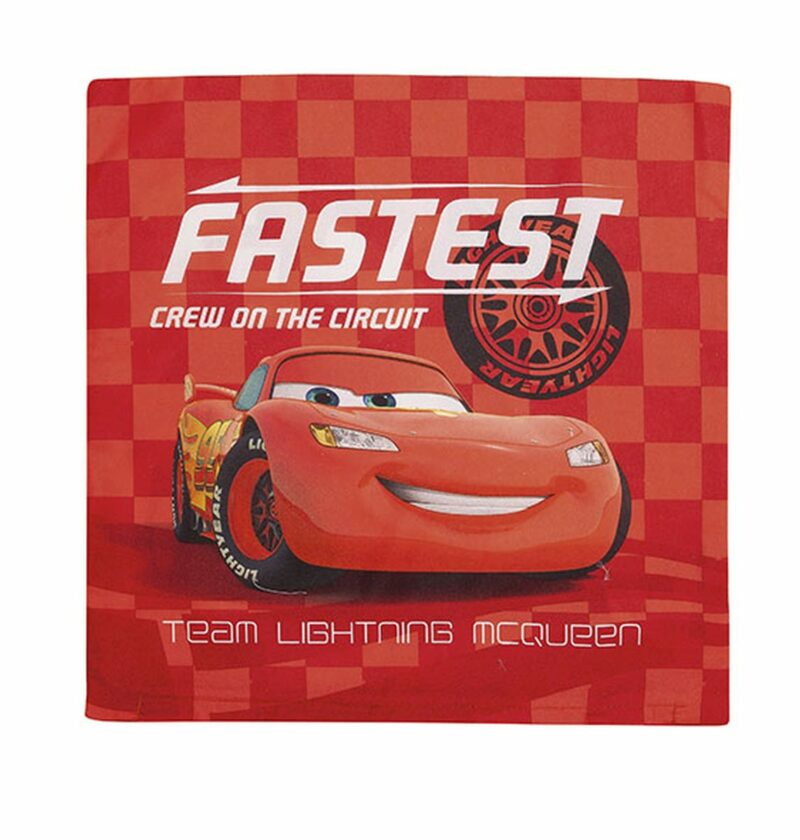 ΜΑΞΙΛΑΡΑΚΙΑ DISNEY CARS 40 40X40 Digital Print 3542120