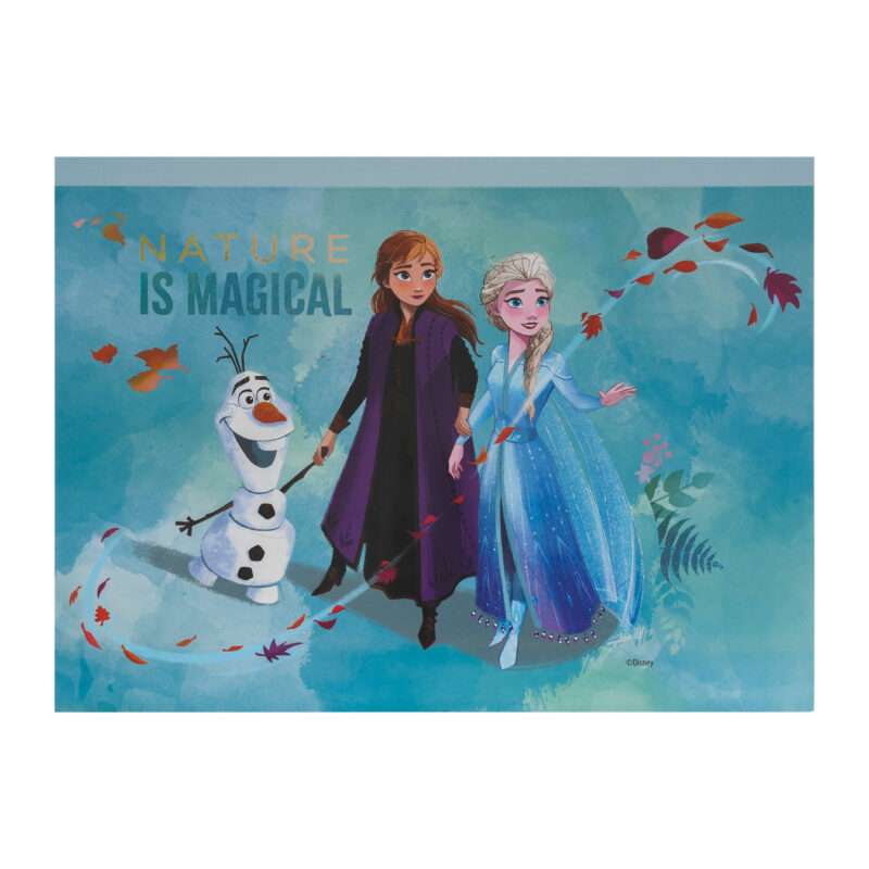 AS Σετ Ζωγραφικής Disney Frozen Σε Διάφανη Τσάντα Για 3+ Χρονών