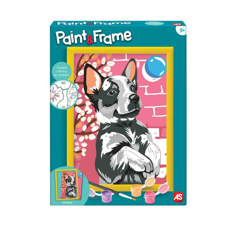 Paint & Frame | Paint by Numbers – Playful Husky | Για Ηλικίες 9+ Χρονών 5653685