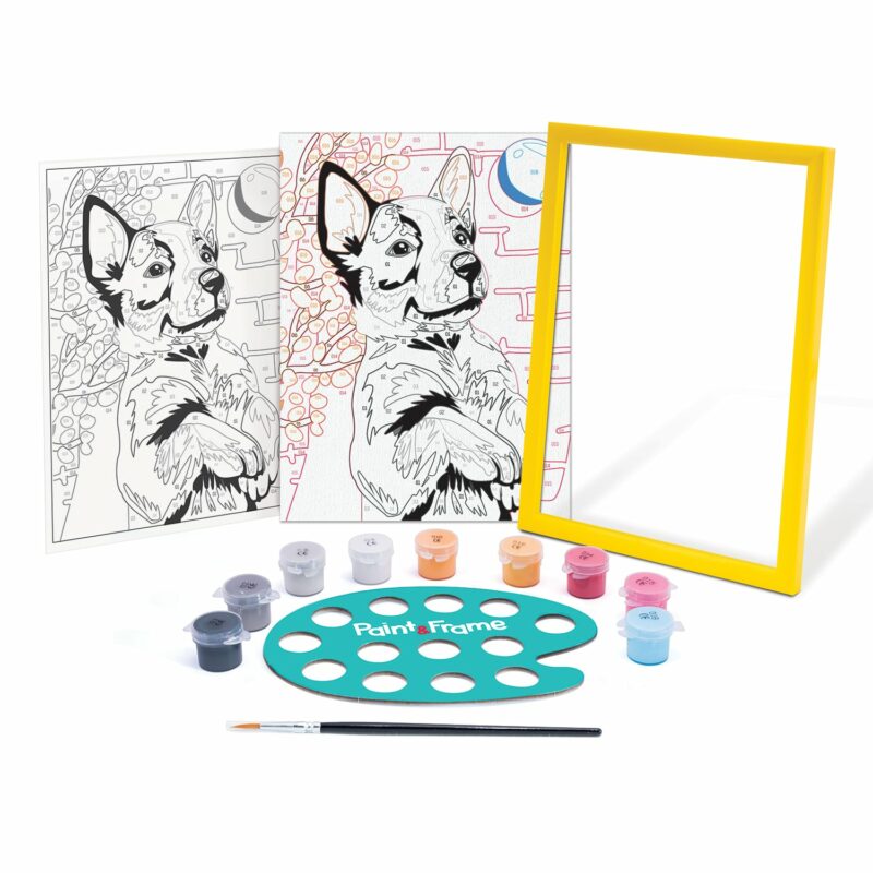 Paint & Frame | Paint by Numbers – Playful Husky | Για Ηλικίες 9+ Χρονών 5653688