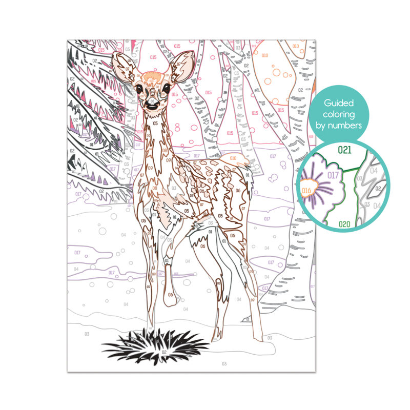 Paint & Frame Ζωγραφίζω Με Αριθμούς Snow Deer Για Ηλικίες 9+ Χρονών