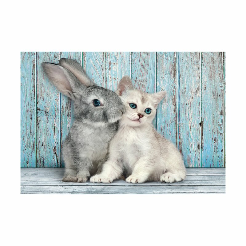 Clementoni Παζλ High Quality Collection Cat And Bunny 500 τμχ – Compact Box 5582606