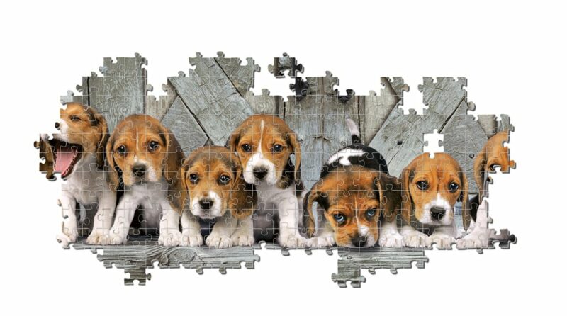 Clementoni Παζλ Panorama High Quality Collection Σκυλάκια Beagles 1000 τμχ – Compact Box 5582856