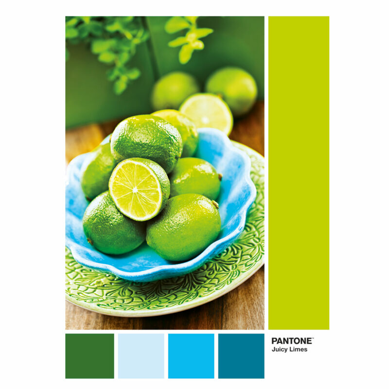 Clementoni Παζλ Pantone Πράσινα Lime 1000 τμχ