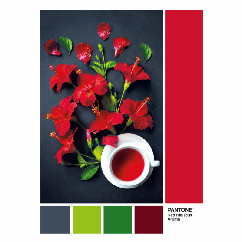 Clementoni Παζλ Pantone Κόκκινος Ιβίσκος 1000 τμχ 5860902