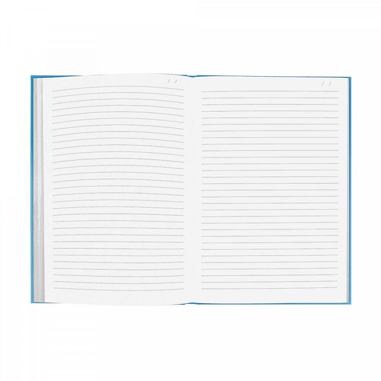 233.354028_2 4889335