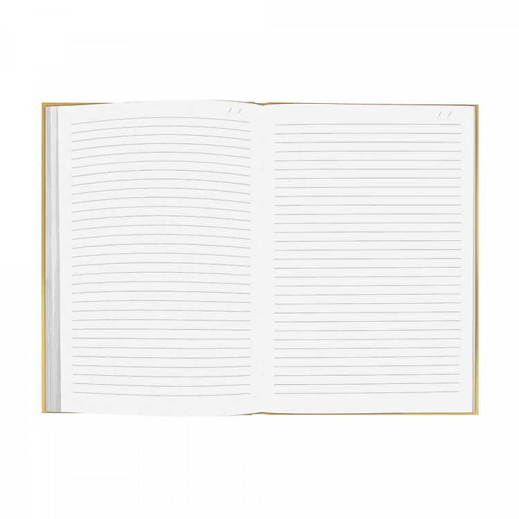 233.354080_2 4889359