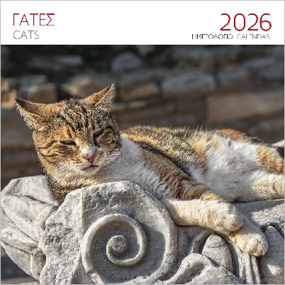 ΕΠΙΤΟΙΧΙΟ ΗΜΕΡΟΛΟΓΙΟ 2026 : ΓΑΤΕΣ ΚΑΦΕ 5200144941237 4466549