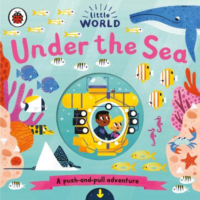 LITTLE WORLD: UNDER THE SEA HC BBK 9780241373019 5618840