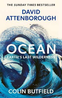 OCEANS PB 9781399832618 5408625