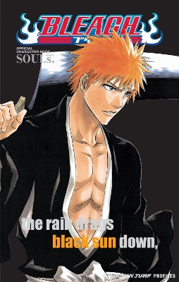 BLEACH SOULS PA 9781421520537 5674425