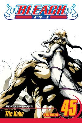 BLEACH 45 PA 9781421542980 5798069