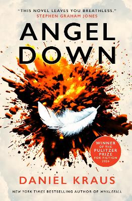 ANGEL DOWN PB 9781835415382 5618836