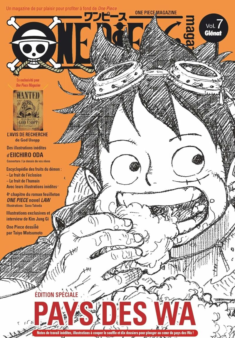 ONE PIECE MAGAZINE – TOME 07 – FRENCH EDITION 9782344041628 5790456