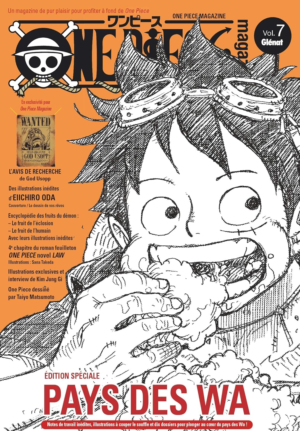 ONE PIECE MAGAZINE - TOME 07 - FRENCH EDITION 9782344041628