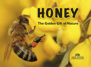 HONEY THE GOLDEN GIFT OF NATURE 9786182331354 5618897
