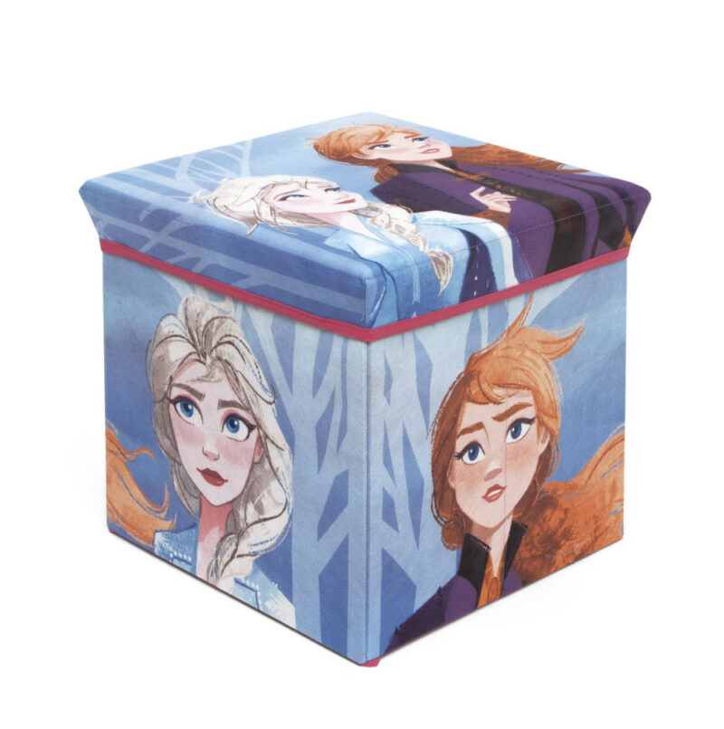 Disney Frozen Παιχνίδι Αποθήκευσης 30×30×30 cm 5883823