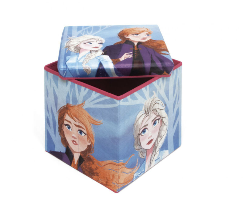 Disney Frozen Παιχνίδι Αποθήκευσης 30×30×30 cm 5883824