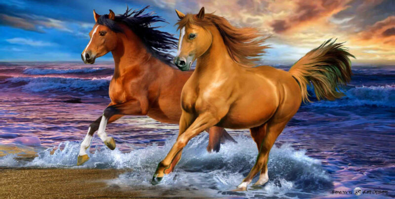 Horses Seaside Πετσέτα Μπάνιου & Θαλάσσης 100% Βαμβάκι 70×140 cm 5926412