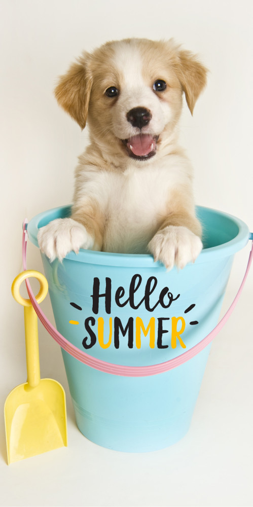 Dog Summer Πετσέτα Μπάνιου & Θαλάσσης 100% Βαμβάκι 70×140 cm 5926403