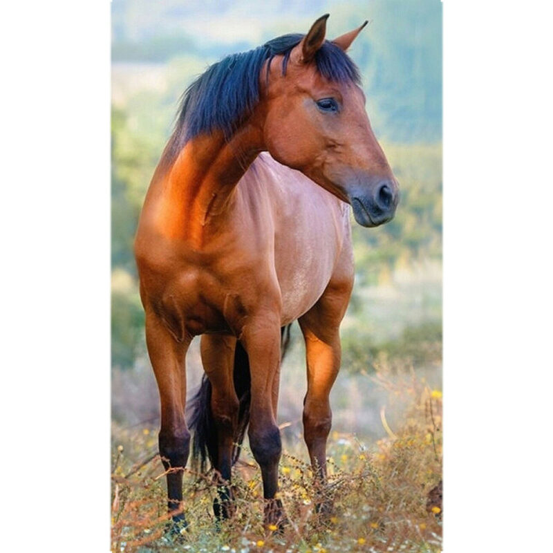 Horses Brown Παιδική Πετσέτα Χεριών – Προσώπου 30×50 cm 5872429