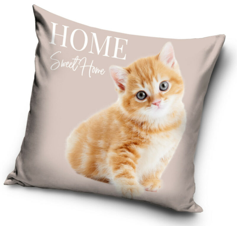 Cat Home Παιδική διακοσμητική μαξιλαροθήκη τύπος Βελούδου 40×40 cm 5884946