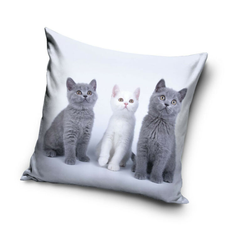 Cat Trio Μαξιλαροθήκη Διακοσμητική για παιδιά 40×40 cm Βελούδο 5884980