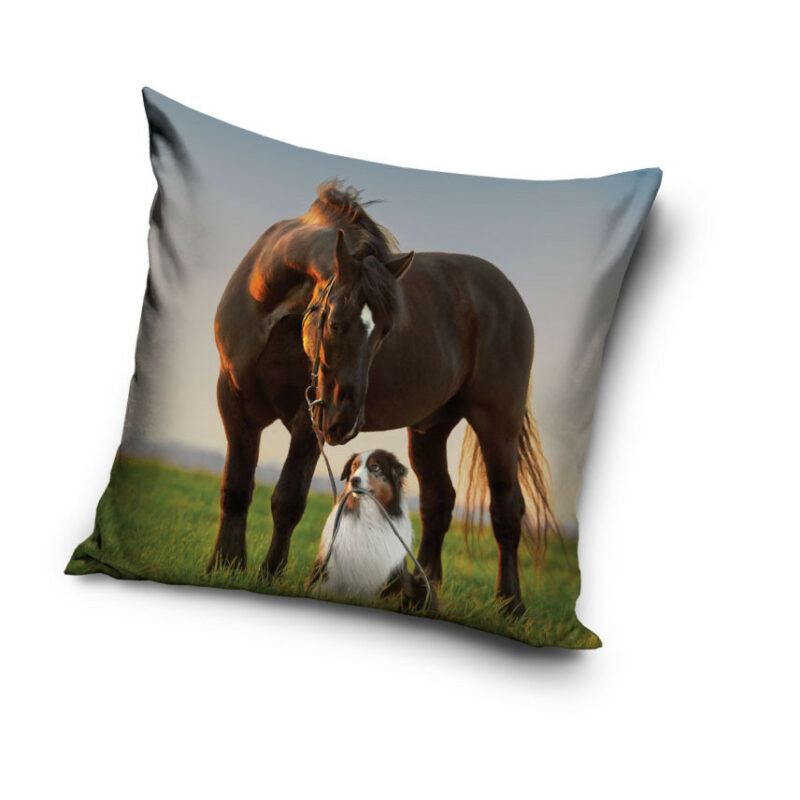 Horses Sunset Companions Παιδική διακοσμητική μαξιλαροθήκη 40×40 cm 5885116