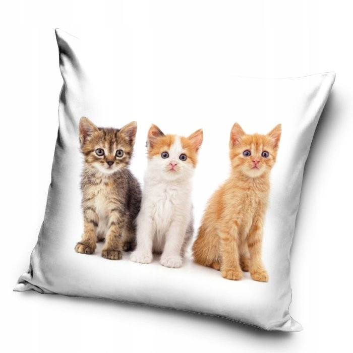 Cat Trio Μαξιλαροθήκη Διακοσμητική για παιδιά 40×40 cm 5884948
