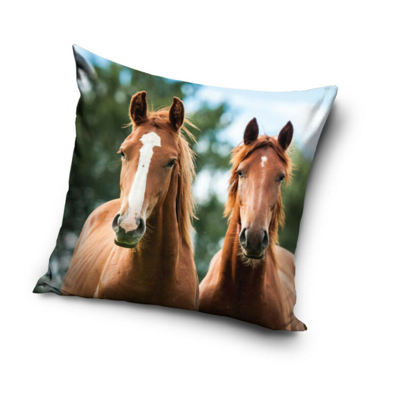 Horses Harmony Παιδική διακοσμητική μαξιλαροθήκη 40×40 cm 5885113