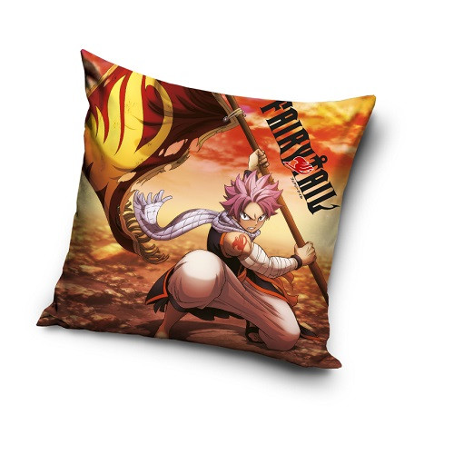 Fairy Tail Παιδική διακοσμητική μαξιλαροθήκη 40×40 cm Βελούδο 5885045