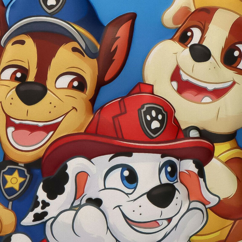 Paw Patrol Rescue Crew 3D Ισοθερμική Τσάντα Φαγητού 26×21 5899970