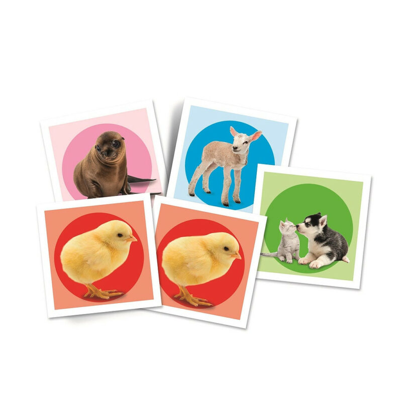 Animals Βρεφικό Παιχνίδι Μνήμης 48 Τεμαχίων Clementoni 5894888