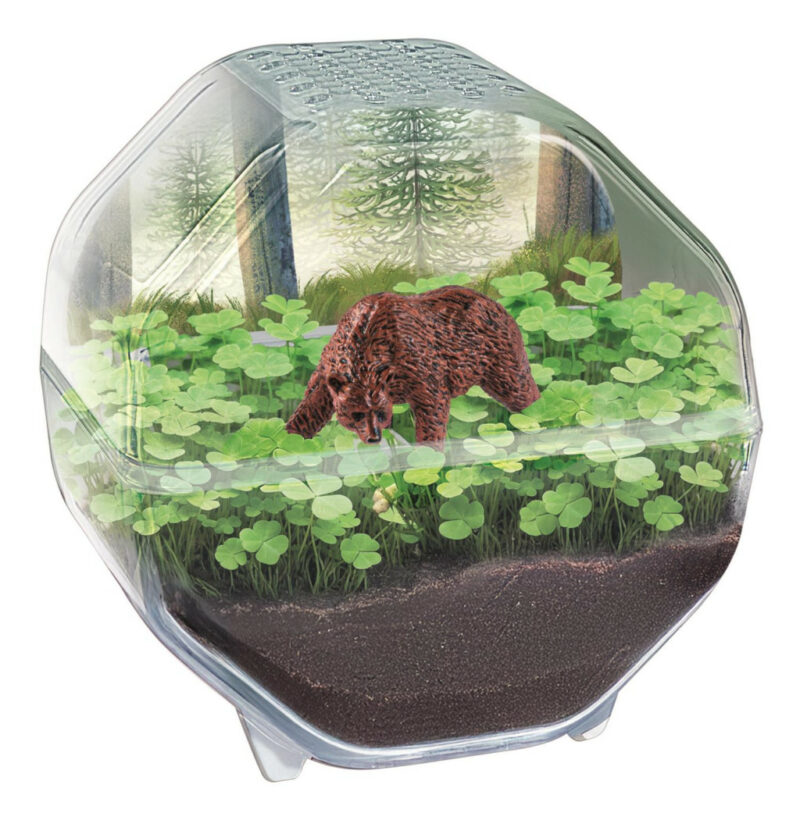Animals Bear Μίνι Terrarium Clementoni 5894085