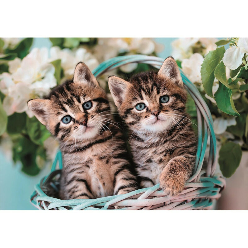 Cat Lovely Twins Παιδικό Puzzle 60 Τεμαχίων Clementoni 5883289