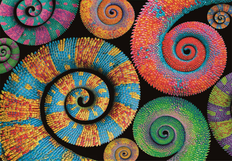 Colour Curly Tails Puzzle σε Συμπαγή Συσκευασία 500 Τεμαχίων Clementoni 5893661