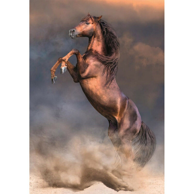 Horses Wild Stallion Puzzle σε Συμπαγή Συσκευασία 500 Τεμαχίων Clementoni 5886125
