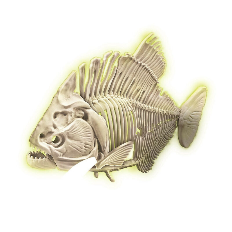 Animals Archeo Fun Illuminating Piranha Σετ Αρχαιολογίας Clementoni 5886213