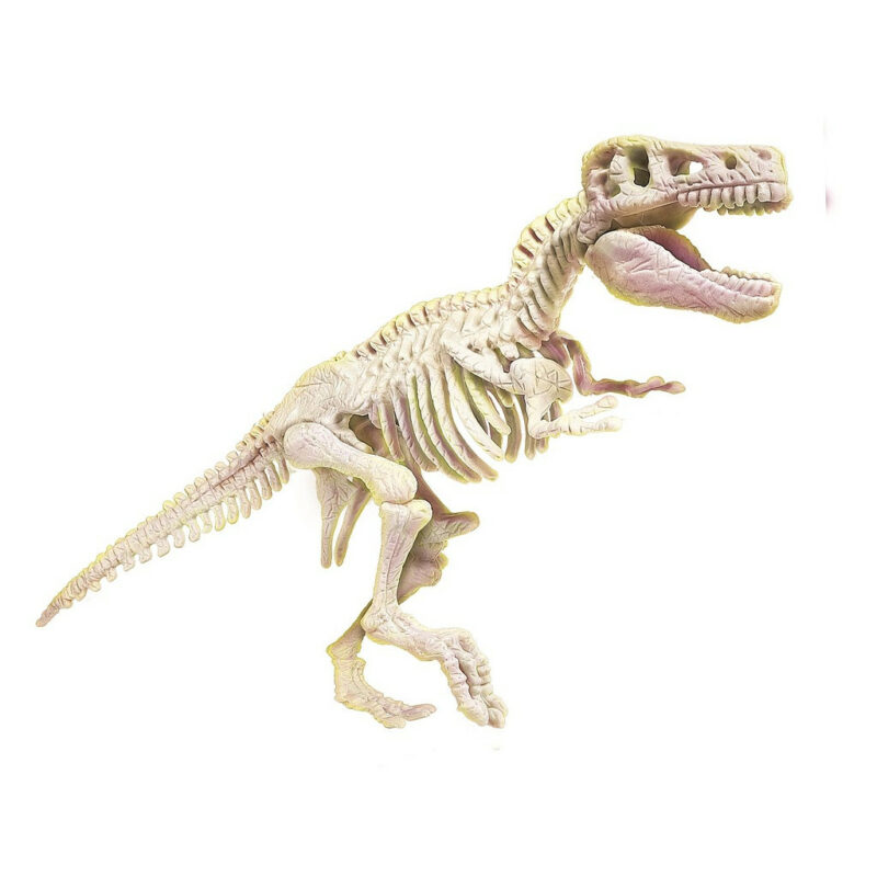 Dinosaur Archeo Fun Φωσφορίζον Σετ Αρχαιολογίας Clementoni 5885457