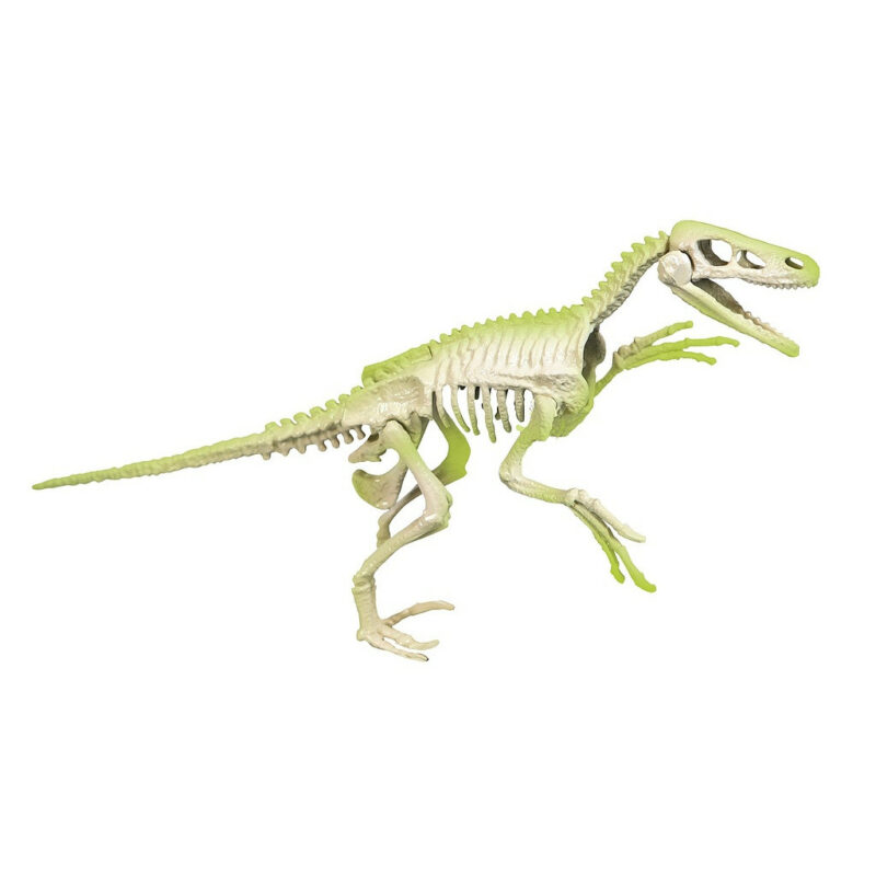 Dinosaur Archeo Fun Φωσφορίζον Velociraptor Σετ Αρχαιολογίας Clementoni 5886217