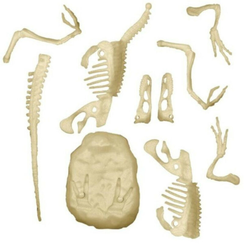 Dinosaur Archeo Fun Φωσφορίζον Velociraptor Σετ Αρχαιολογίας Clementoni 5886219