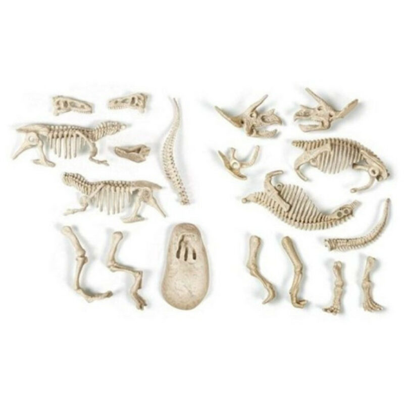 Dinosaur Archeo Fun Φωσφορίζον Σετ Αρχαιολογίας Clementoni 5884075