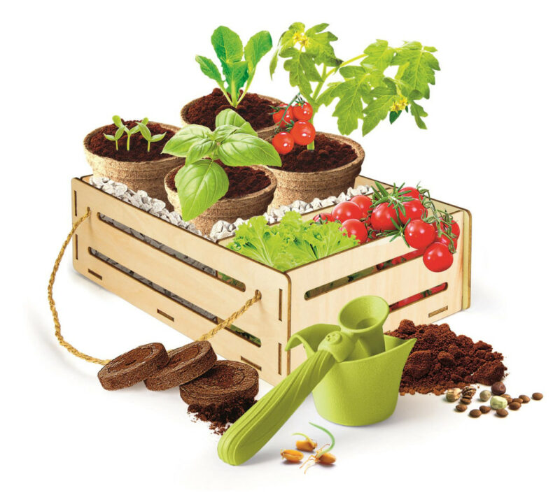 Colour Organic Gardening Επιστημονικό Σετ Clementoni 5893810