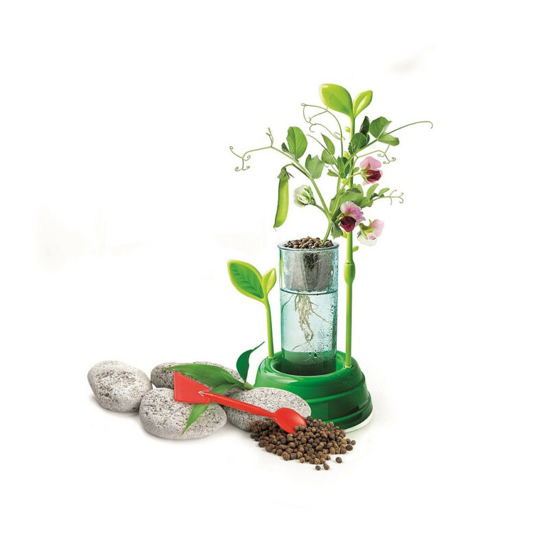 Colour Science Botanical Lab Σετ Clementoni 5894808
