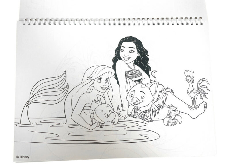 Disney Princess Life A4 Σπιράλ Μπλοκ Ζωγραφικής 40 Φύλλα με Αυτοκόλλητα 5901337