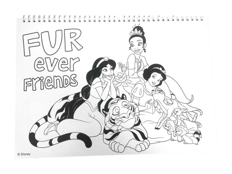 Disney Princess Life A4 Σπιράλ Μπλοκ Ζωγραφικής 40 Φύλλα με Αυτοκόλλητα 5901339