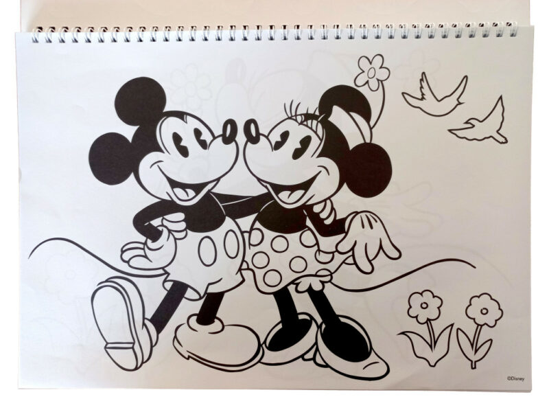 Disney Minnie Nomadic Spirit A4 Σπιράλ Μπλοκ Ζωγραφικής 40 Φύλλα με Αυτοκόλλητα 5885802