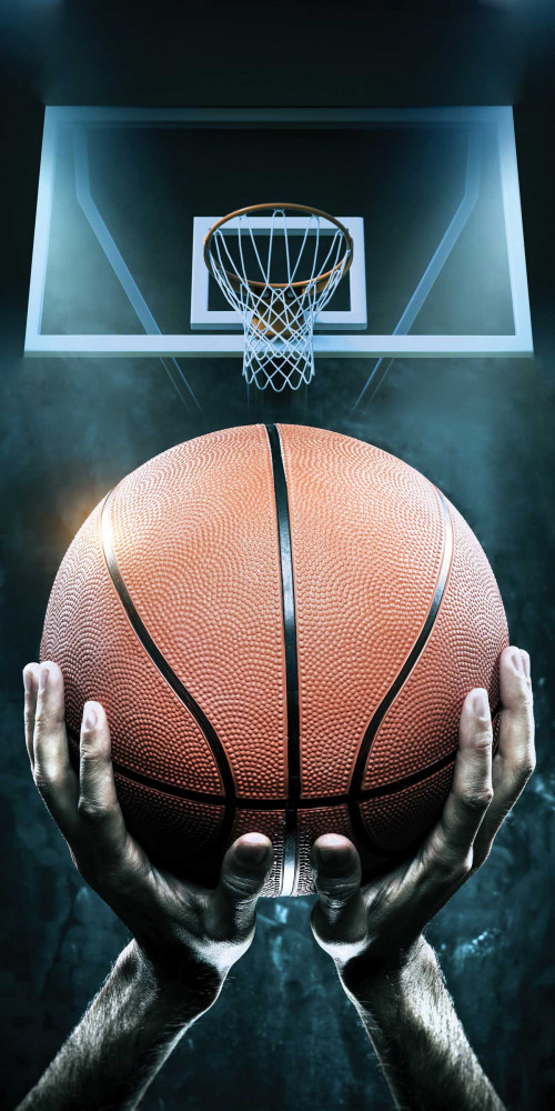 Basketball Basketball 6032379