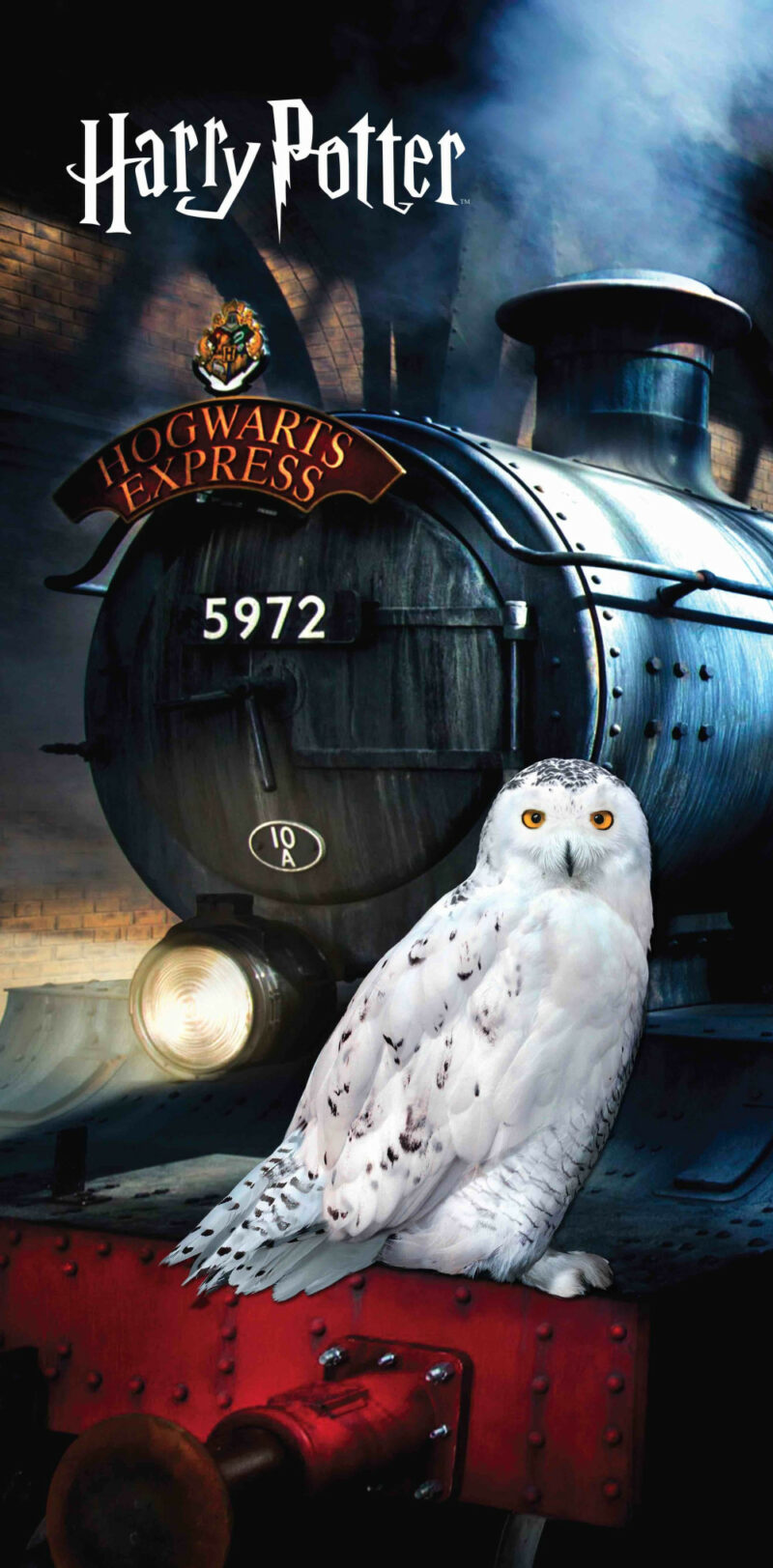 Harry Potter Hedwig bath towel 6032354