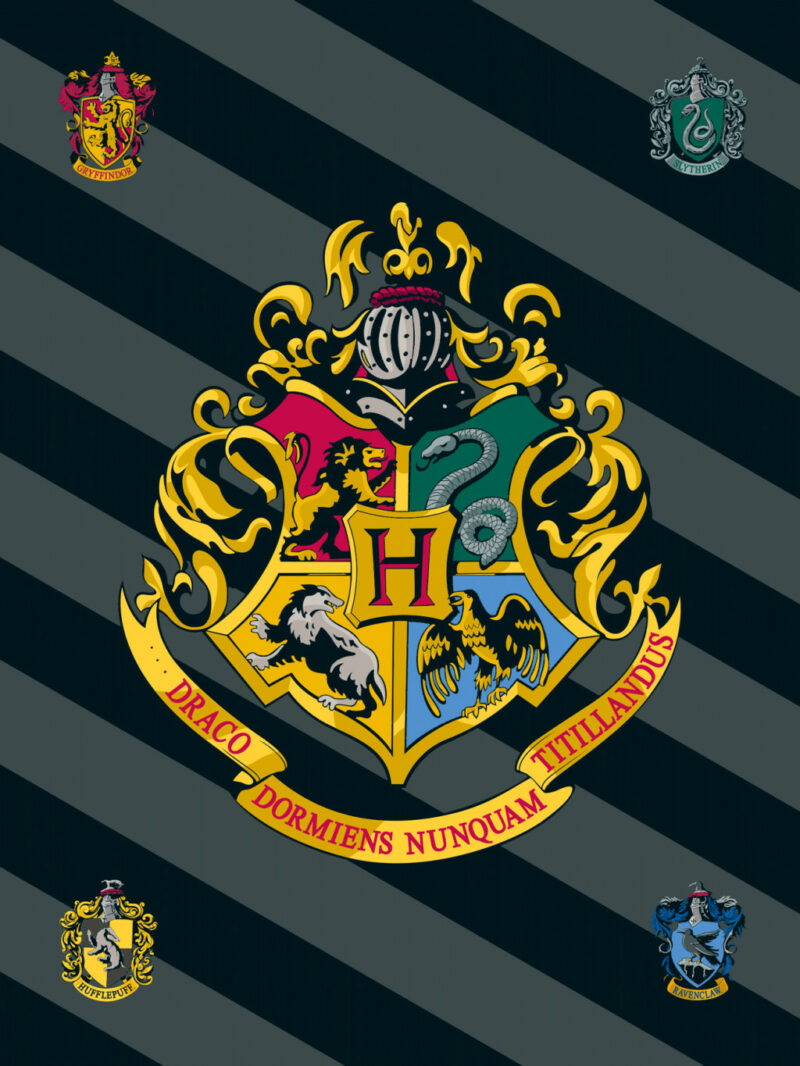 Harry Potter Crest polar fleece blanket 100x150cm 6032337